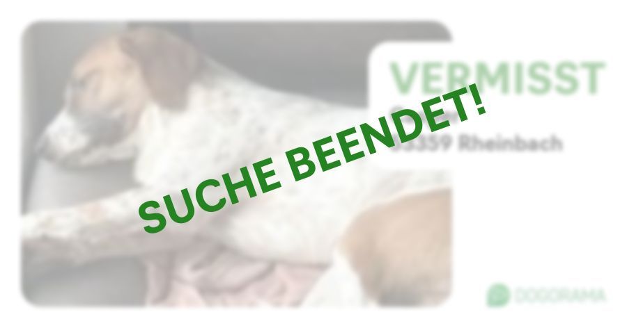 Suchmeldung-Casper-Profilbild