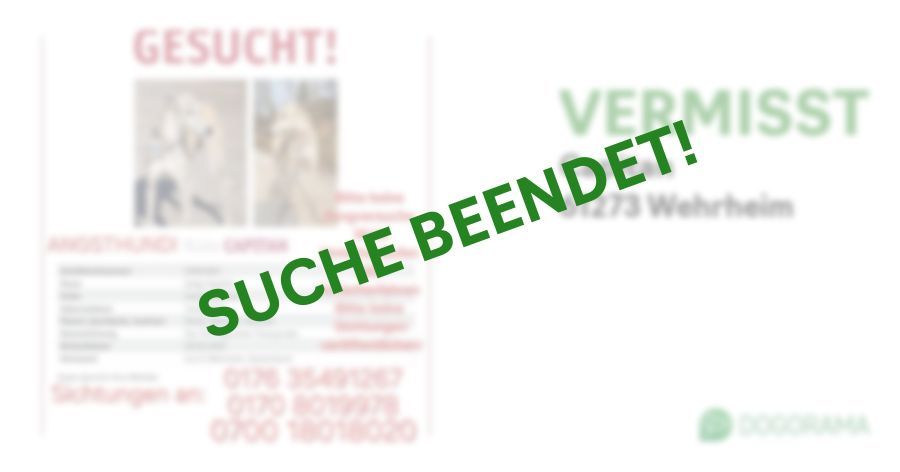 Suchmeldung-Capitan-Profilbild