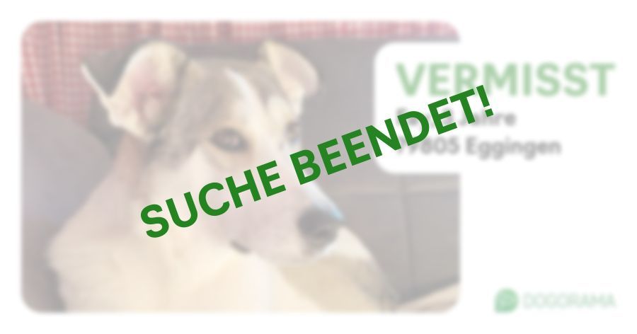 Suchmeldung-Fay-Profilbild