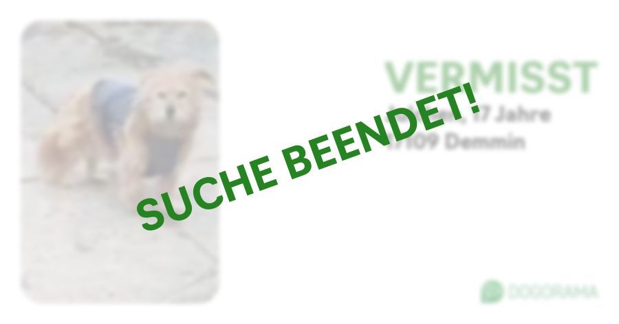 Suchmeldung-Julchen-Profilbild