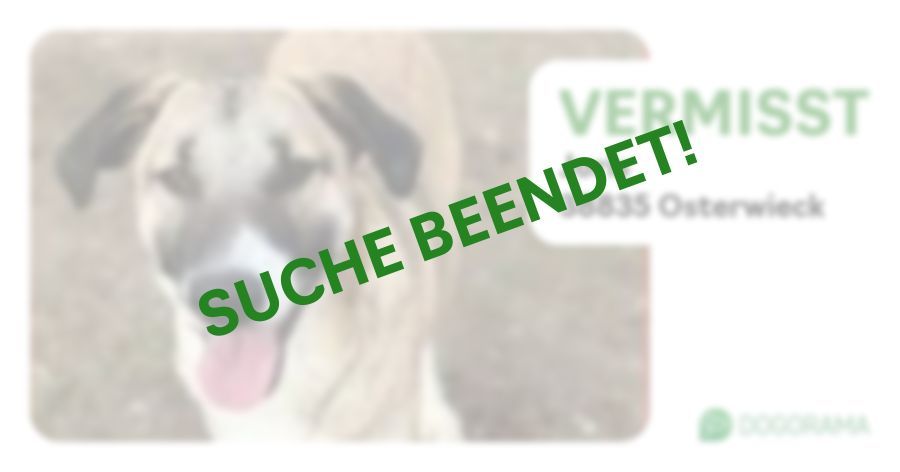 Suchmeldung-Joris-Profilbild