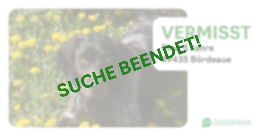 Suchmeldung-Fina-Profilbild