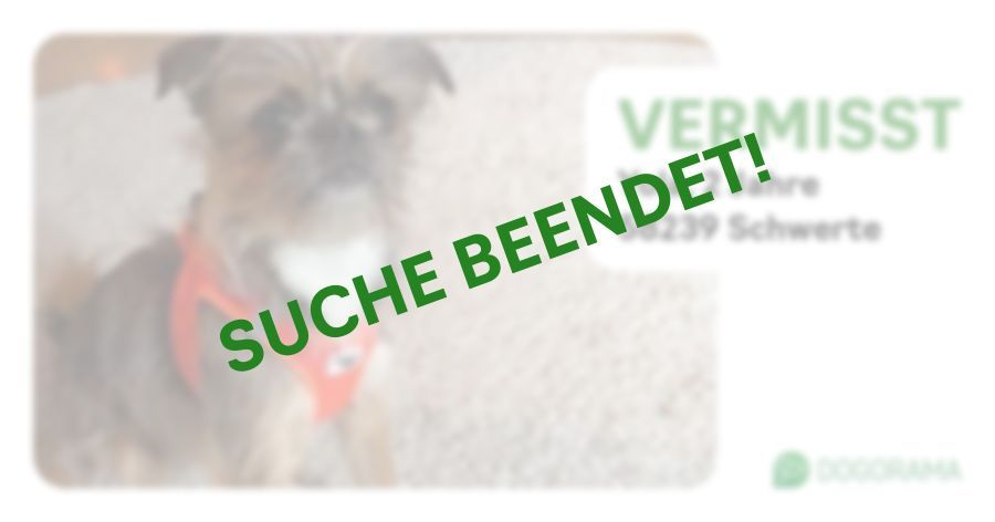 Suchmeldung-Yola-Profilbild