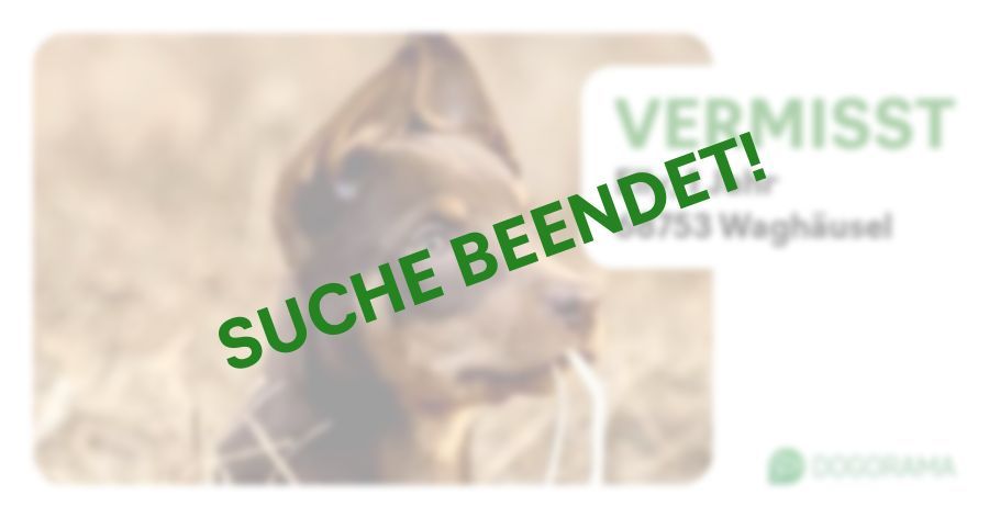 Suchmeldung-Elly-Profilbild