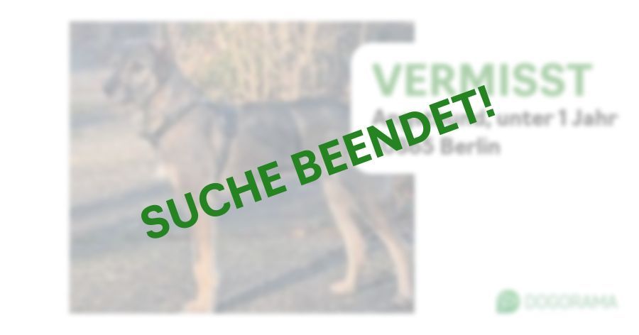 Suchmeldung-Angsthund-Profilbild