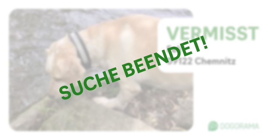 Suchmeldung-Feli-Profilbild