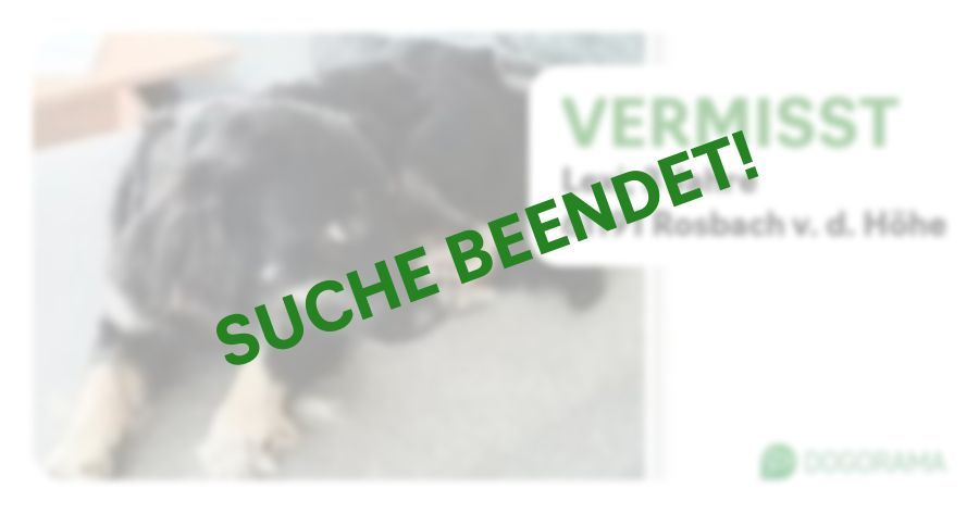 Suchmeldung-Lexi-Profilbild