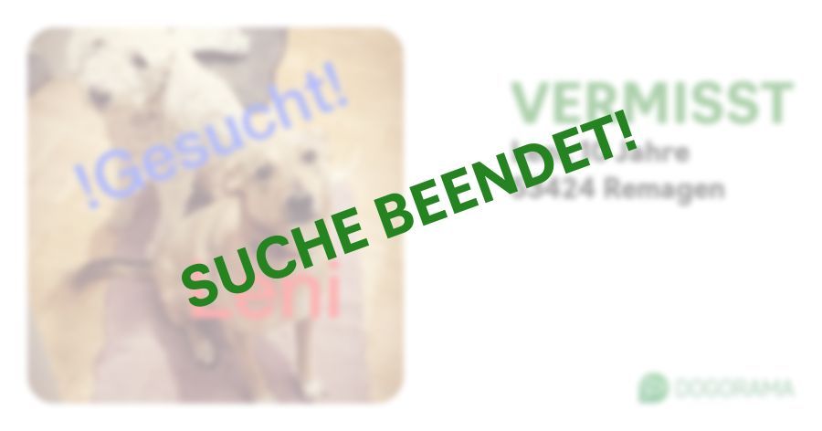 Suchmeldung-Leni-Profilbild