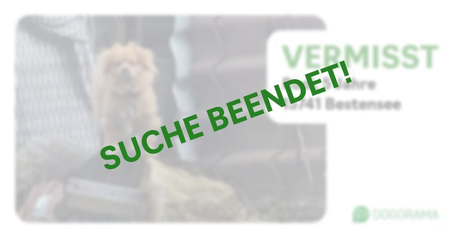 Suchmeldung-Rudi-Profilbild