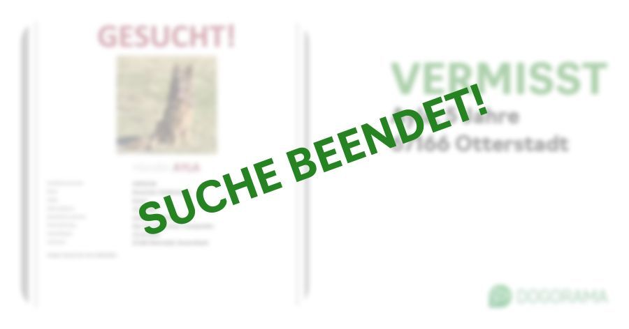 Suchmeldung-Ayla-Profilbild