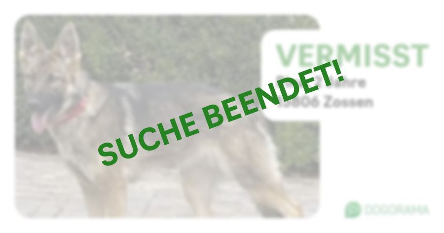 Suchmeldung-Pina-Profilbild