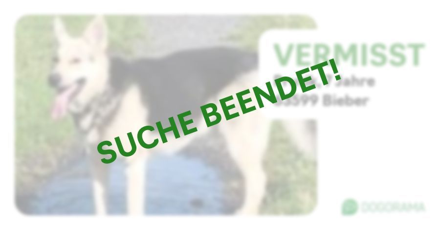 Suchmeldung-Prutik-Profilbild