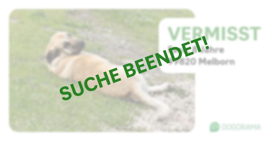 Suchmeldung-Face-Profilbild