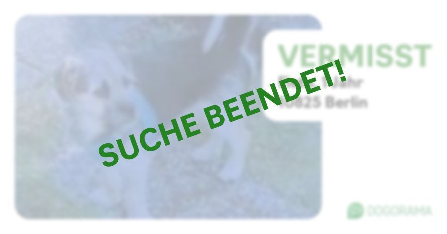 Suchmeldung-Fiete-Profilbild