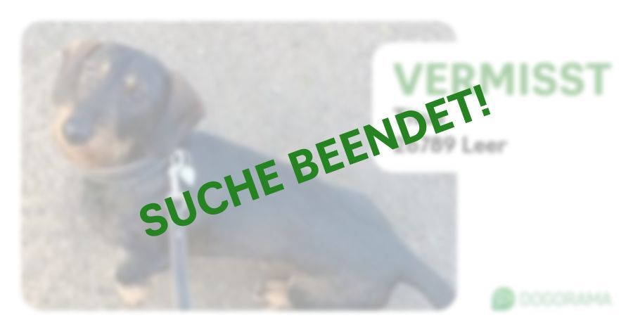 Suchmeldung-Titus-Profilbild