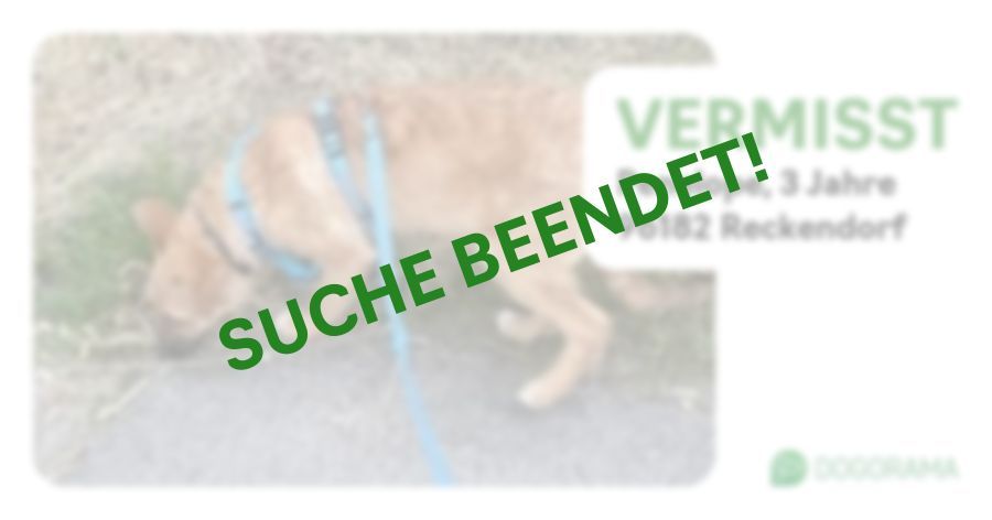 Suchmeldung-Penelope-Profilbild