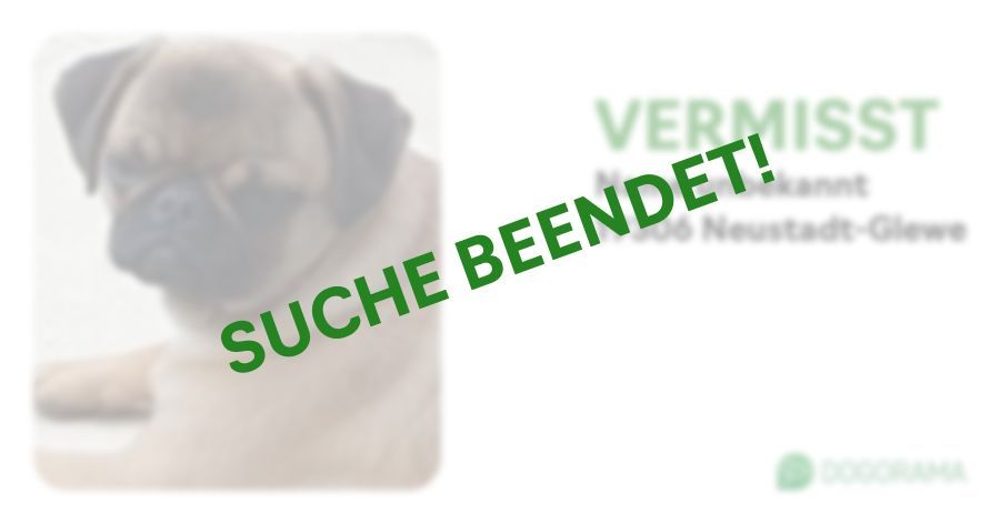 Suchmeldung-Name unbekannt-Profilbild