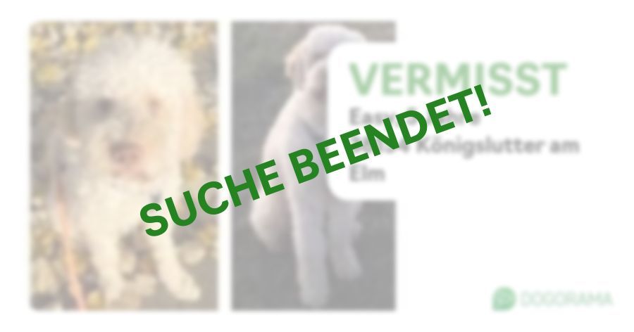 Suchmeldung-Easy-Profilbild