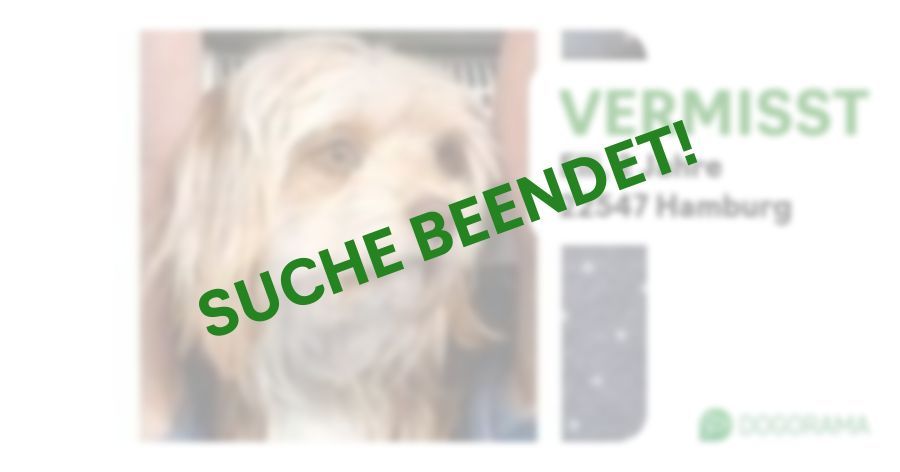 Suchmeldung-Elli-Profilbild