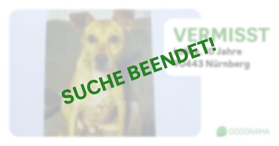 Suchmeldung-Lollek-Profilbild