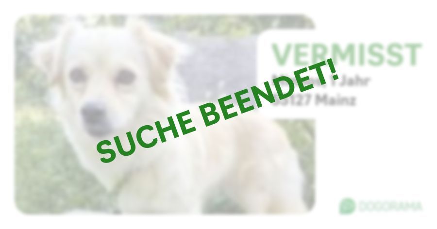 Suchmeldung-Minnos-Profilbild