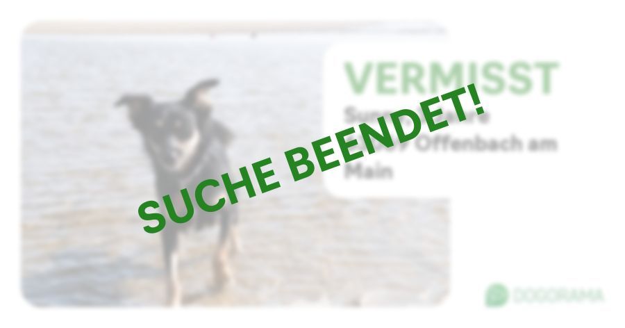 Suchmeldung-Sunny-Profilbild