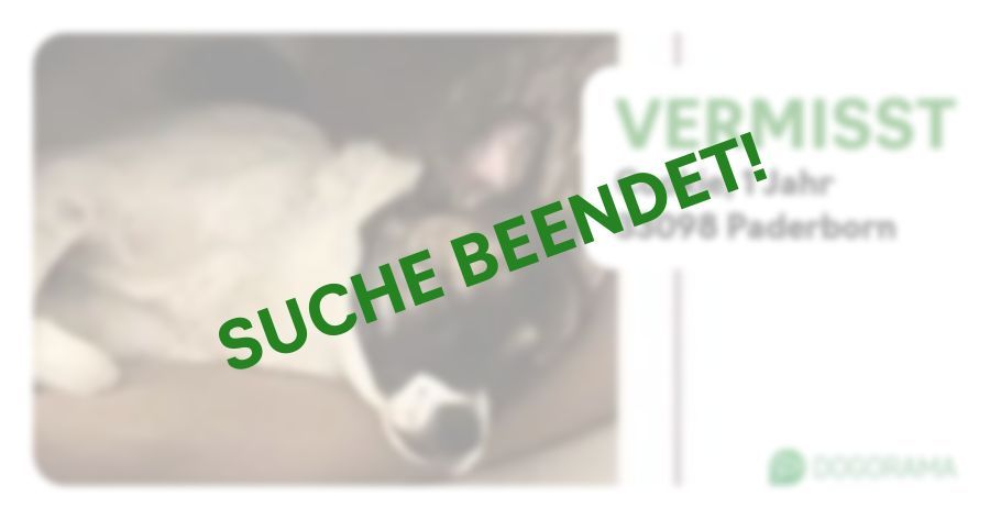 Suchmeldung-Cookie-Profilbild