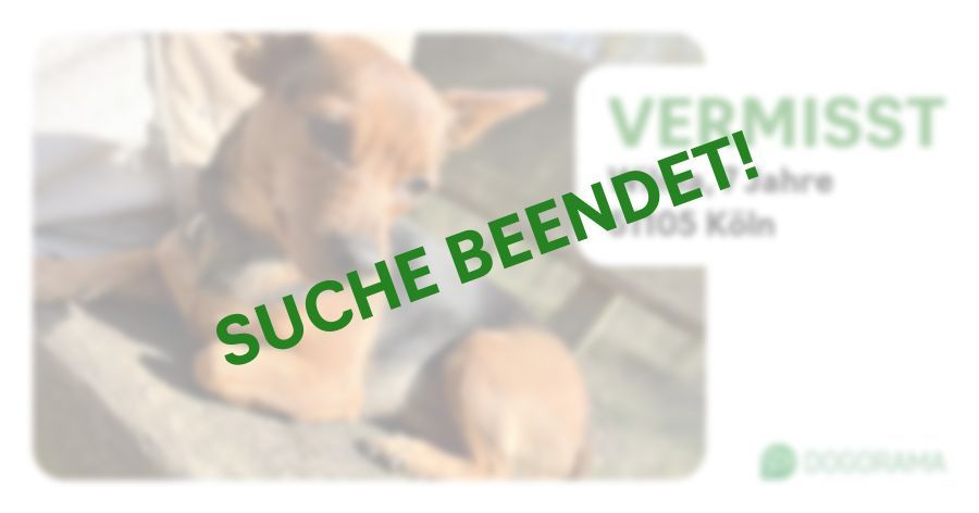 Suchmeldung-Wilma-Profilbild