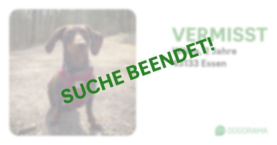 Suchmeldung-Wilma-Profilbild