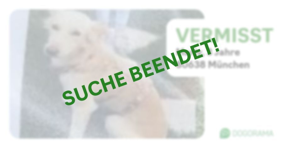 Suchmeldung-Marly-Profilbild