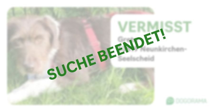 Suchmeldung-Greta-Profilbild