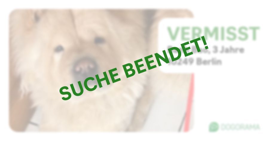 Suchmeldung-Banh Bao-Profilbild