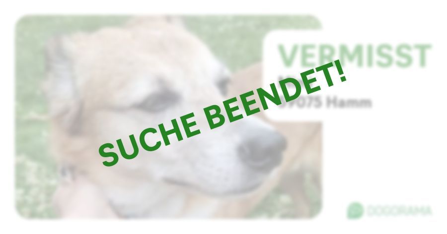 Suchmeldung-Mimi-Profilbild