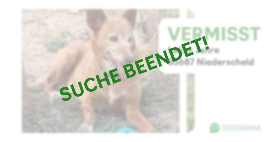 Suchmeldung-Lali-Profilbild