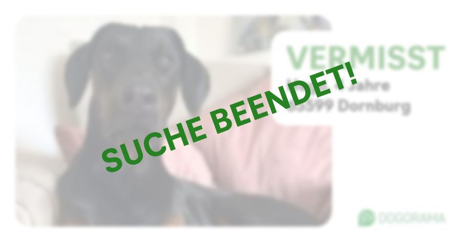 Suchmeldung-Hugo-Profilbild