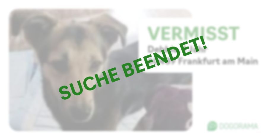 Suchmeldung-Debbie-Profilbild