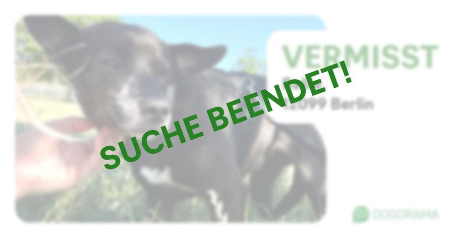 Suchmeldung-Ballie-Profilbild