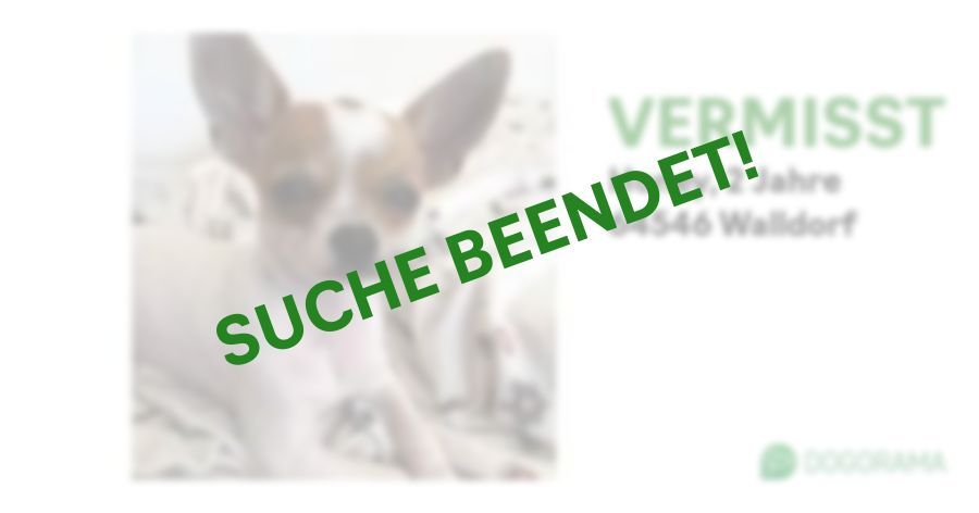 Suchmeldung-Honey-Profilbild