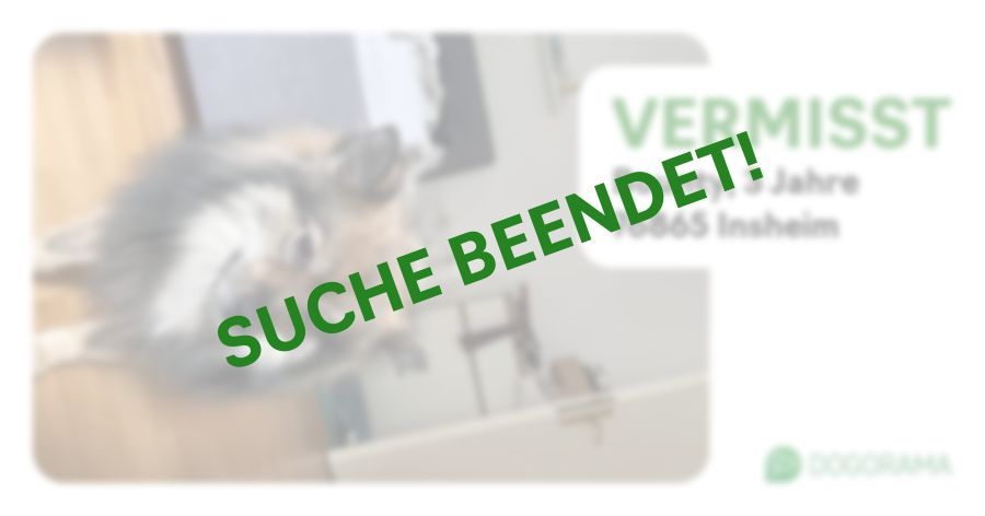 Suchmeldung-Bounty-Profilbild