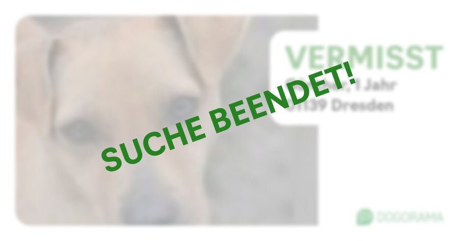 Suchmeldung-Günther-Profilbild