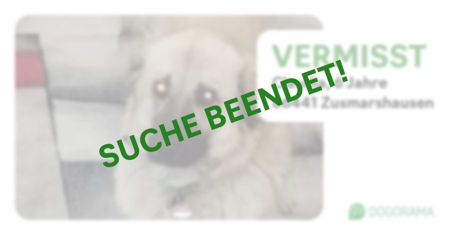 Suchmeldung-Claudia-Profilbild