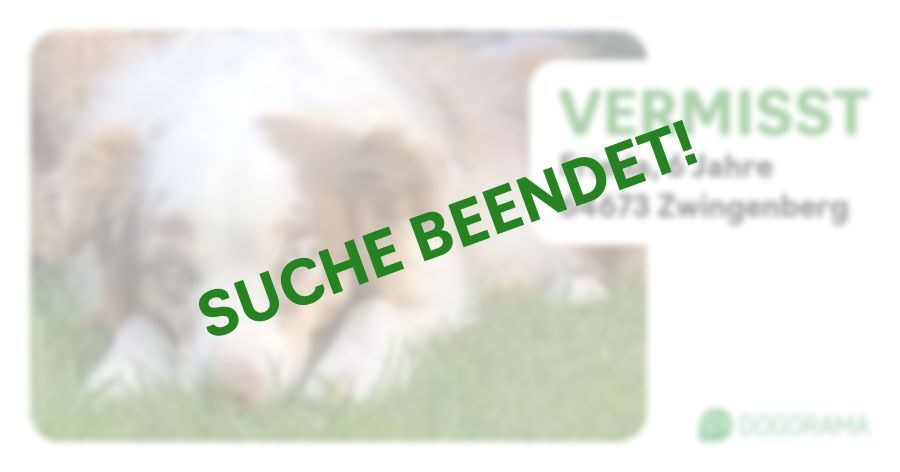 Suchmeldung-Frieda-Profilbild