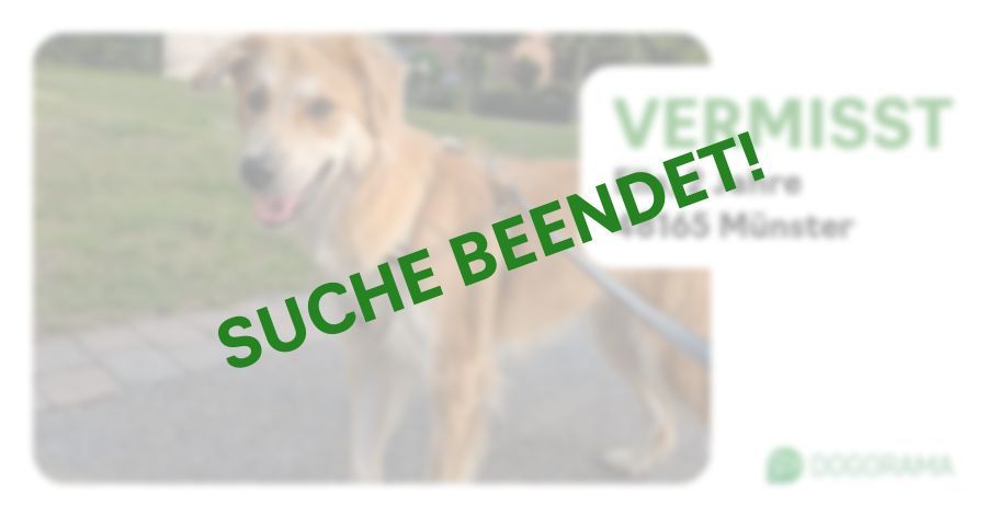 Suchmeldung-Ella-Profilbild