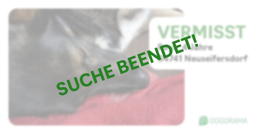 Suchmeldung-Raya-Profilbild