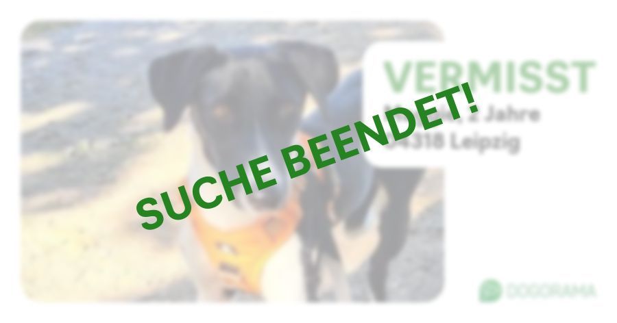 Suchmeldung-Maggie-Profilbild