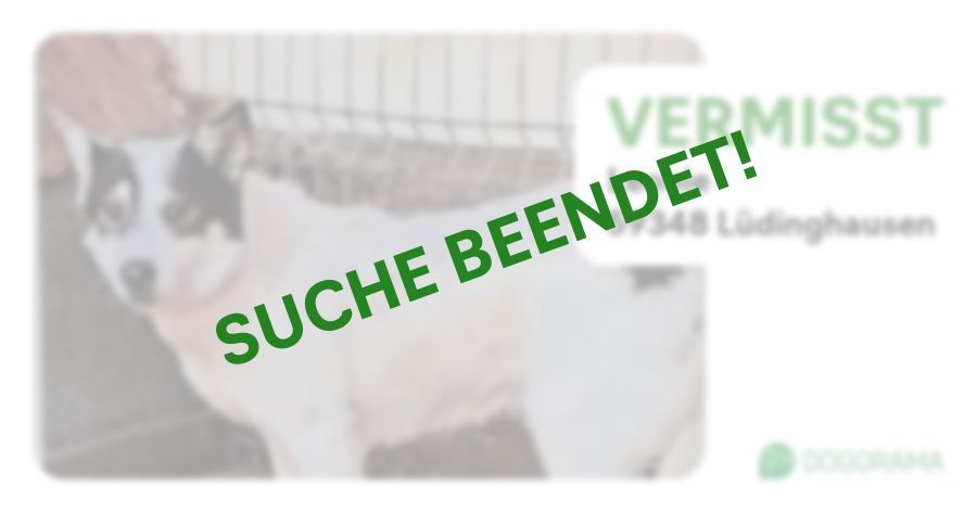 Suchmeldung-Leonie-Profilbild