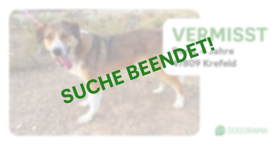 Suchmeldung-Doris-Profilbild