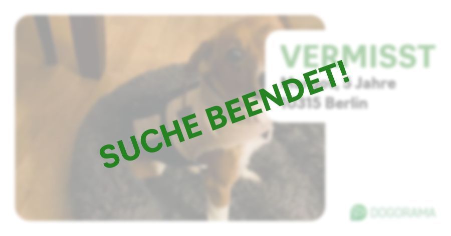 Suchmeldung-Margot-Profilbild