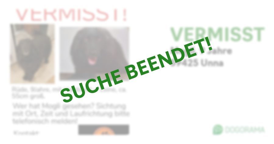 Suchmeldung-Mogli-Profilbild