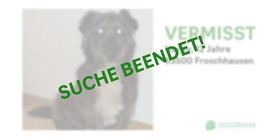 Suchmeldung-Hardy-Profilbild